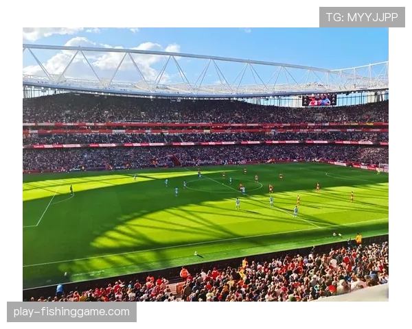 布伦特福德2-2埃弗顿，霍尔补时绝平救主